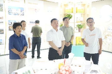 【長(zhǎng)田動(dòng)態(tài)】區(qū)政協(xié)黨組書(shū)記、主席呼廷貴一行蒞臨易豐農(nóng)業(yè)開(kāi)展專(zhuān)題調(diào)研?